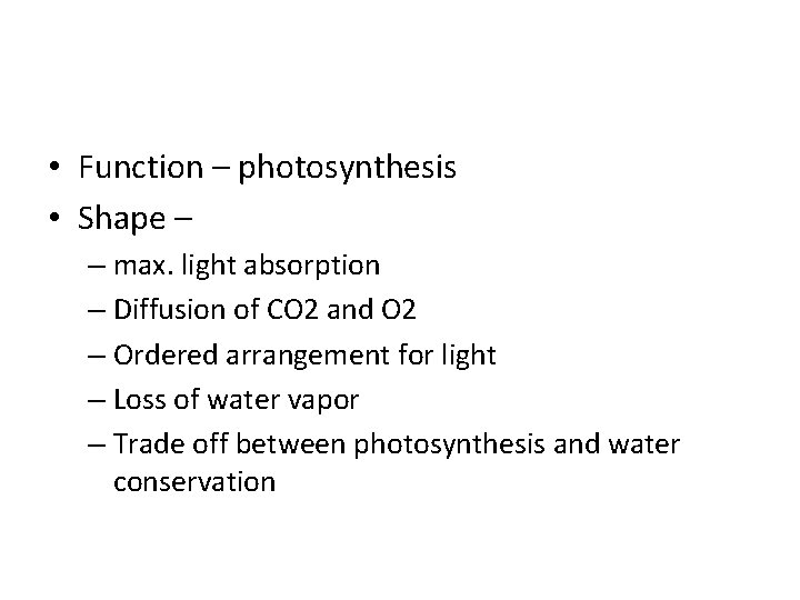  • Function – photosynthesis • Shape – – max. light absorption – Diffusion