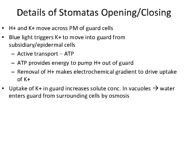 Details of Stomatas Opening/Closing • H+ and K+ move across PM of guard cells