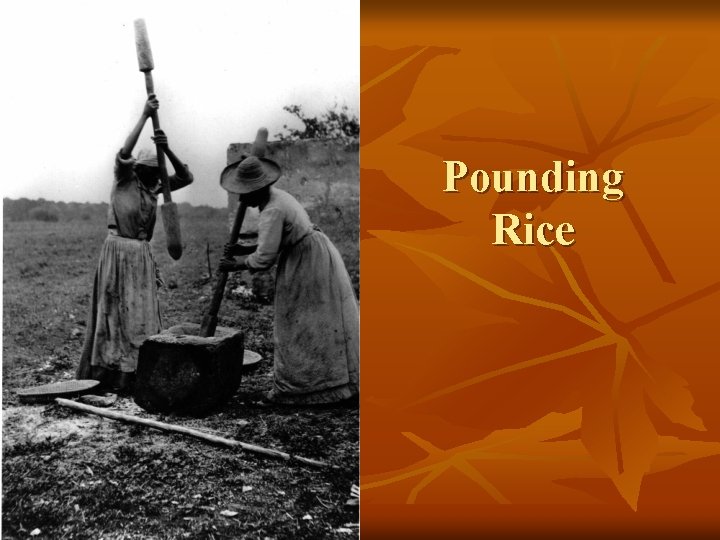 Pounding Rice 