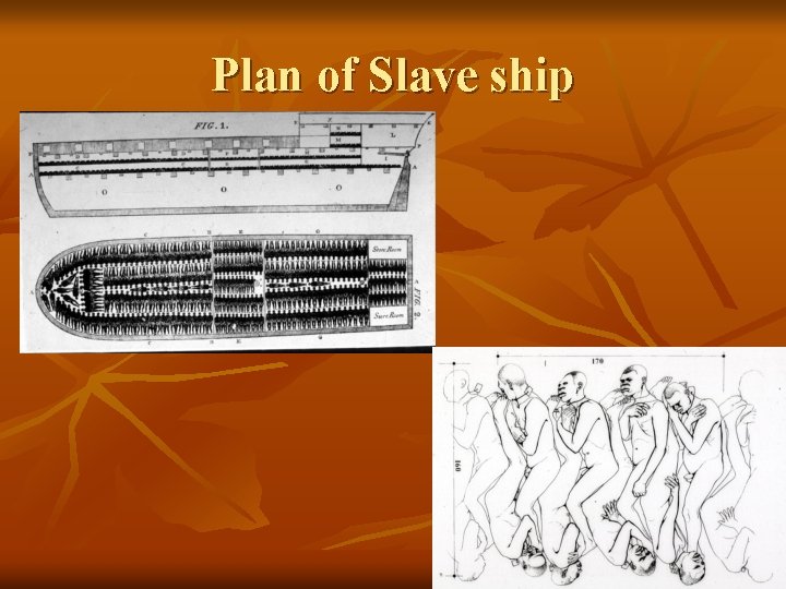 Plan of Slave ship 