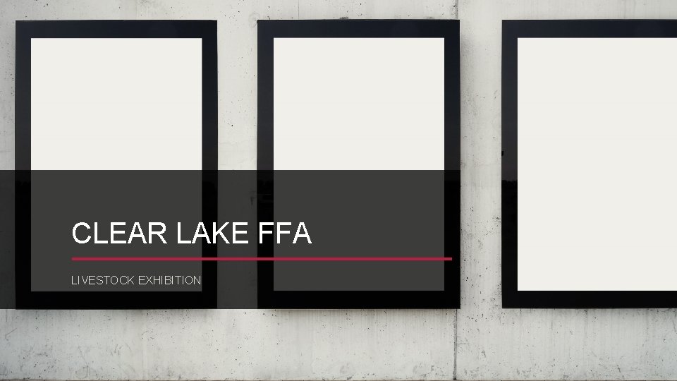 CLEAR LAKE FFA LIVESTOCK EXHIBITION 