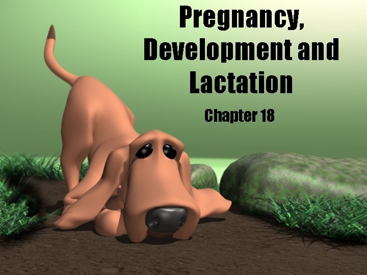 Pregnancy, Development and Lactation Chapter 18 