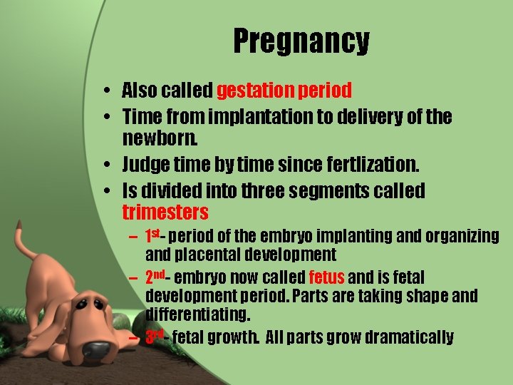Pregnancy • Also called gestation period • Time from implantation to delivery of the