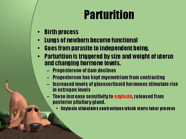 Parturition • • Birth process Lungs of newborn become functional Goes from parasite to