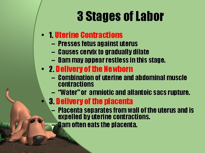 3 Stages of Labor • 1. Uterine Contractions – Presses fetus against uterus –