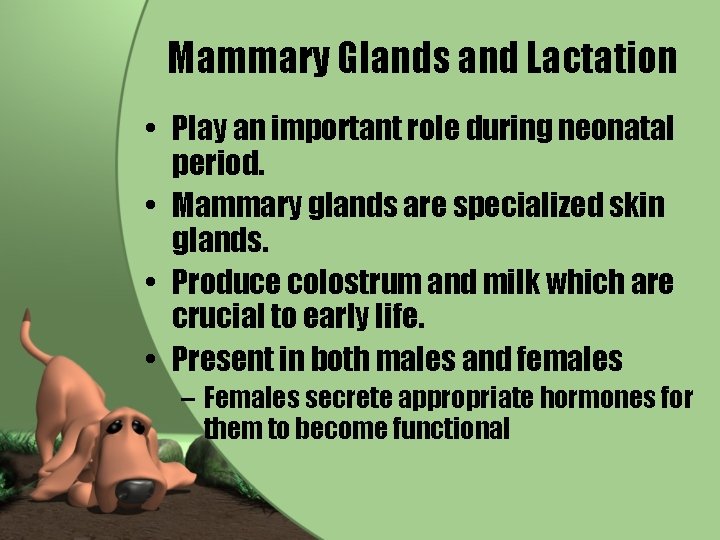 Mammary Glands and Lactation • Play an important role during neonatal period. • Mammary