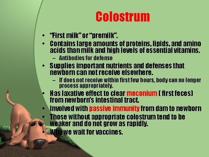 Colostrum • “First milk” or “premilk”. • Contains large amounts of proteins, lipids, and