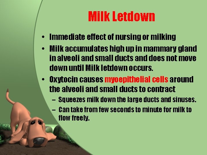 Milk Letdown • Immediate effect of nursing or milking • Milk accumulates high up