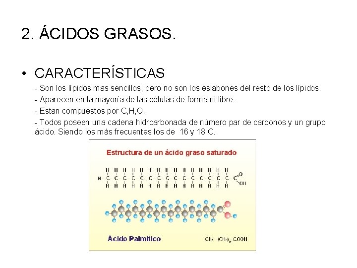 2. ÁCIDOS GRASOS. • CARACTERÍSTICAS - Son los lípidos mas sencillos, pero no son