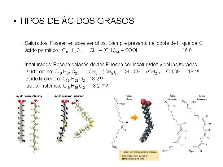  • TIPOS DE ÁCIDOS GRASOS - Saturados: Poseen enlaces sencillos. Siempre presentan el