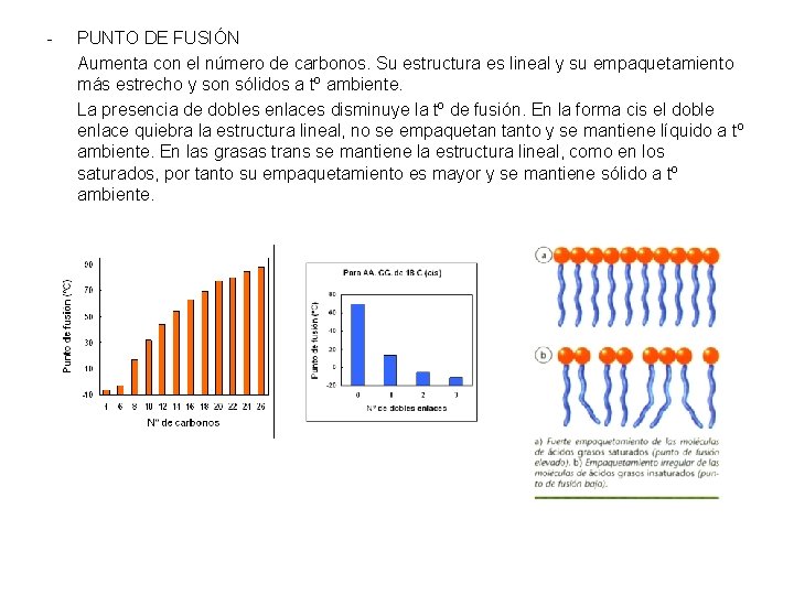 - PUNTO DE FUSIÓN Aumenta con el número de carbonos. Su estructura es lineal