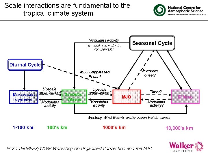 Scale interactions are fundamental to the tropical climate system From THORPEX/WCRP Workshop on Organised