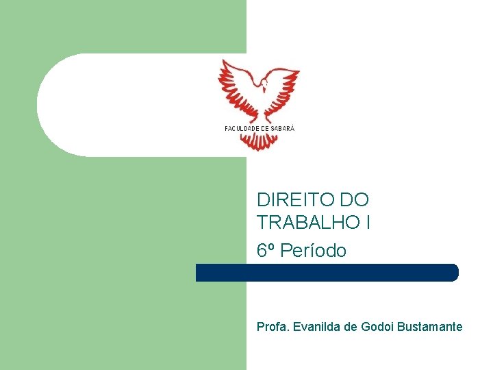 DIREITO DO TRABALHO I 6º Período Profa. Evanilda de Godoi Bustamante 