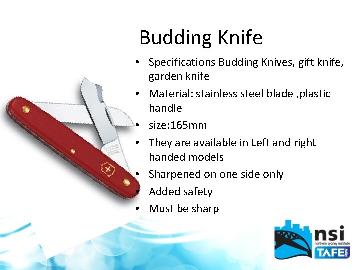 Budding Knife • Specifications Budding Knives, gift knife, garden knife • Material: stainless steel