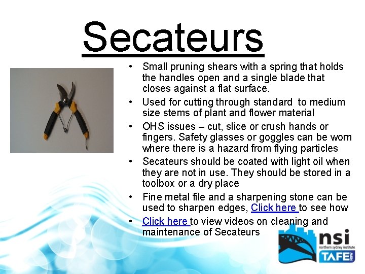 Secateurs • Small pruning shears with a spring that holds the handles open and
