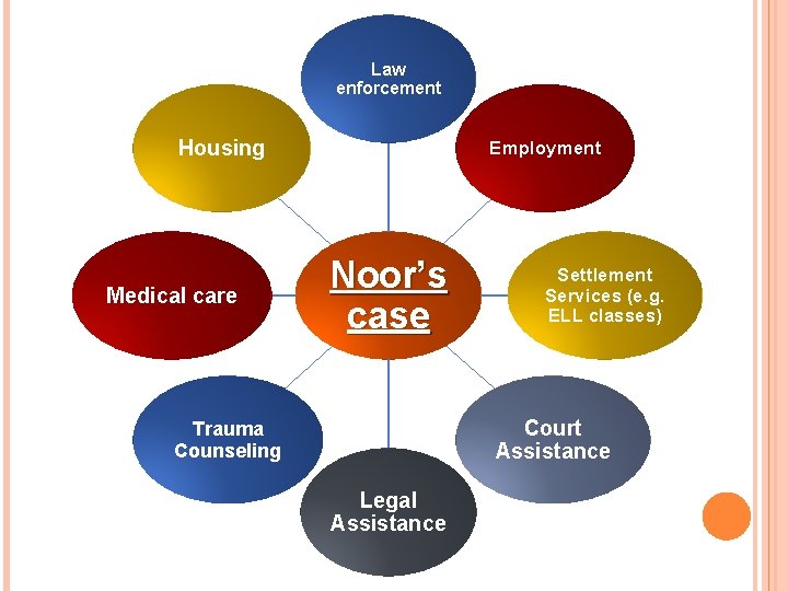 Law enforcement Housing Medical care Employment Noor’s case Settlement Services (e. g. ELL classes)