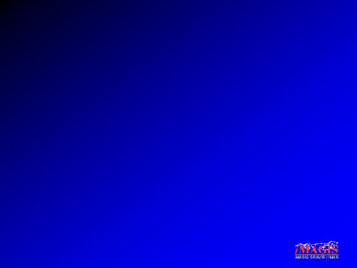 i. MAGIS-GRAVIR / IMAG 