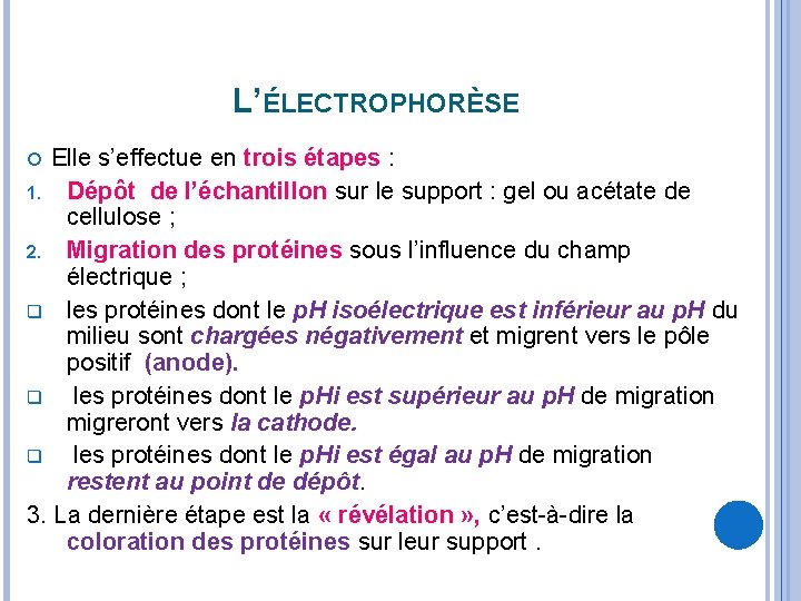 L’ÉLECTROPHORÈSE Elle s’effectue en trois étapes : 1. Dépôt de l’échantillon sur le support