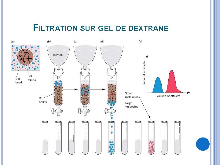 FILTRATION SUR GEL DE DEXTRANE 