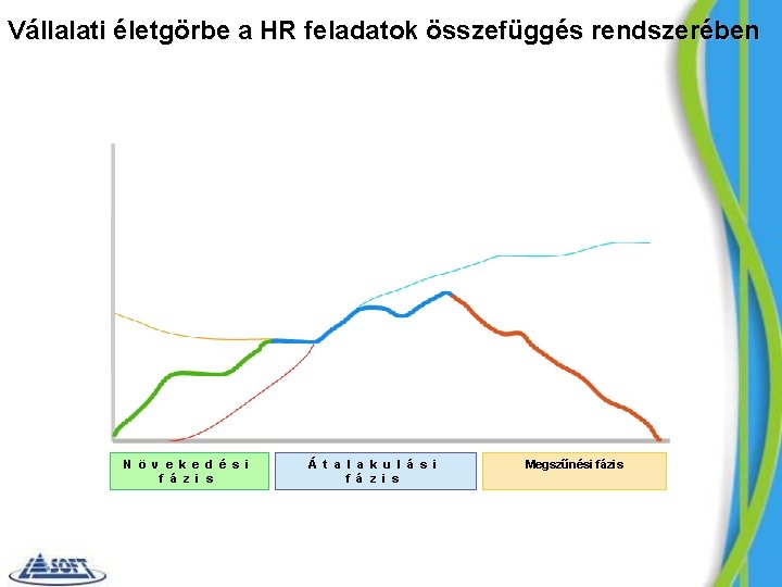 Vállalati életgörbe a HR feladatok összefüggés rendszerében N ö v e k e d