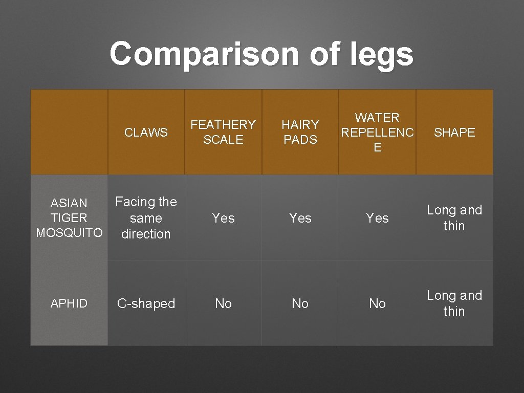 Comparison of legs CLAWS Facing the ASIAN TIGER same MOSQUITO direction APHID C-shaped FEATHERY