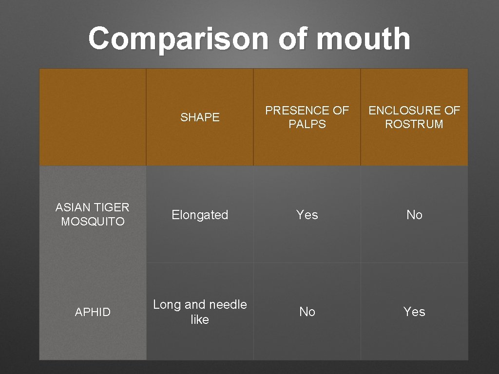 Comparison of mouth SHAPE PRESENCE OF PALPS ENCLOSURE OF ROSTRUM ASIAN TIGER MOSQUITO Elongated
