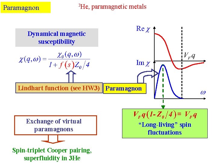 Paramagnon 3 He, paramagnetic metals Dynamical magnetic susceptibility Lindhart function (see HW 3) Paramagnon