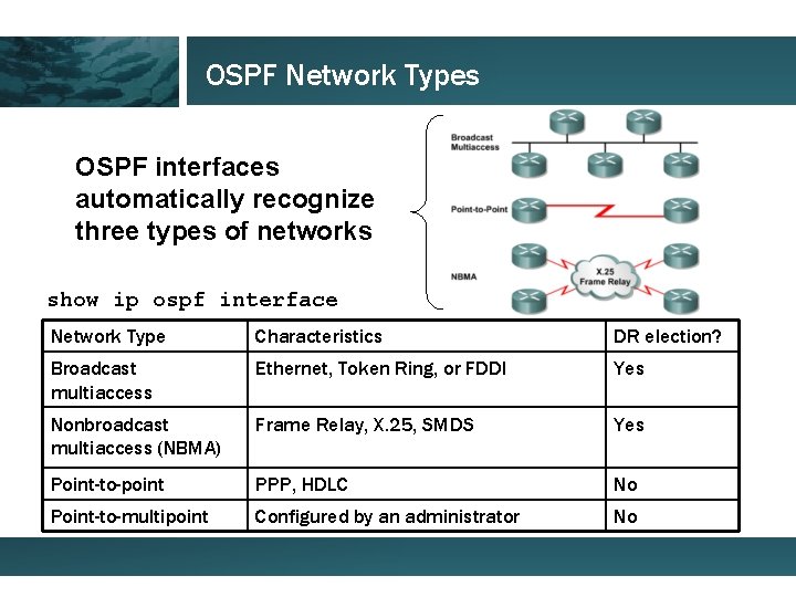 OSPF Network Types OSPF interfaces automatically recognize three types of networks show ip ospf