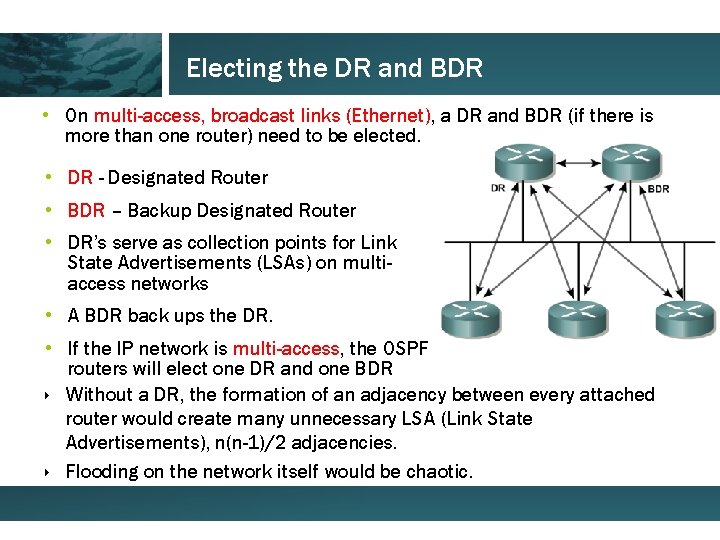 Electing the DR and BDR • On multi-access, broadcast links (Ethernet), a DR and