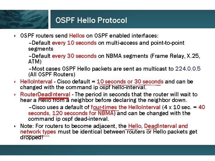 OSPF Hello Protocol ‣ OSPF routers send Hellos on OSPF enabled interfaces: –Default every