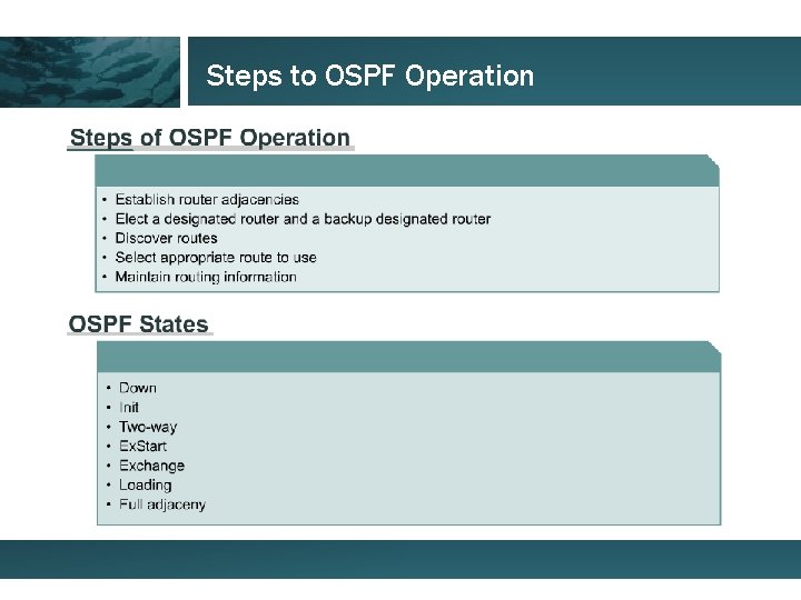 Steps to OSPF Operation 