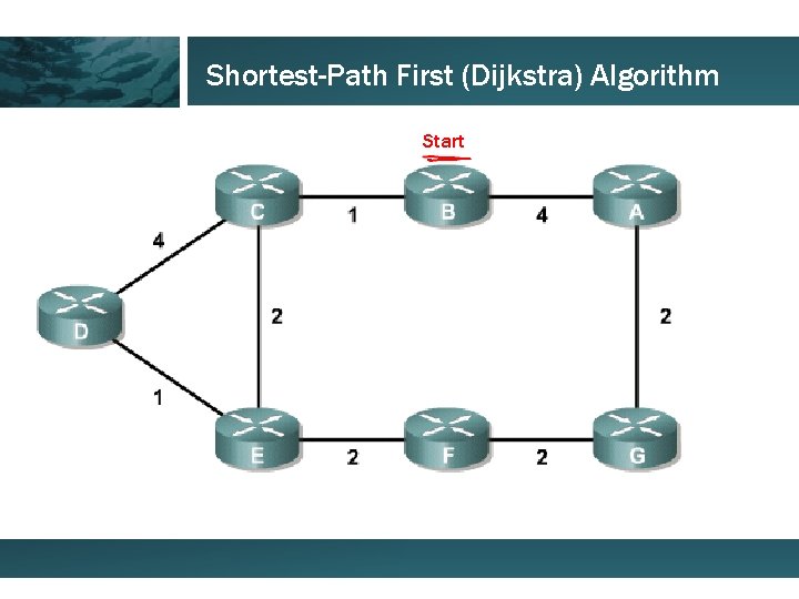 Shortest-Path First (Dijkstra) Algorithm Start 