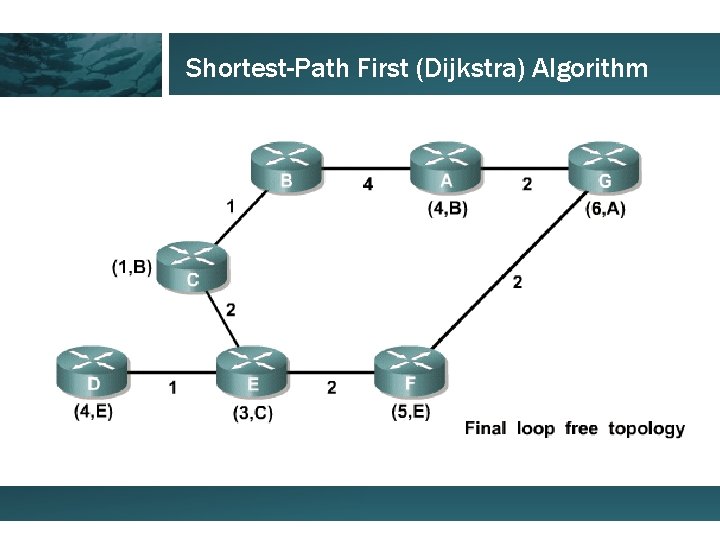 Shortest-Path First (Dijkstra) Algorithm 