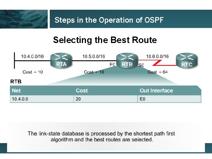 Steps in the Operation of OSPF Selecting the Best Route 