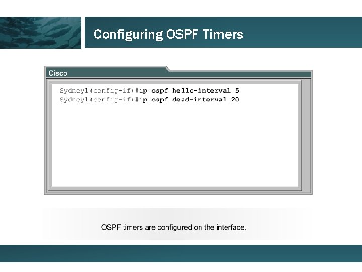 Configuring OSPF Timers 