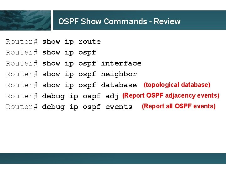 OSPF Show Commands - Review Router# Router# show ip route show ip ospf interface