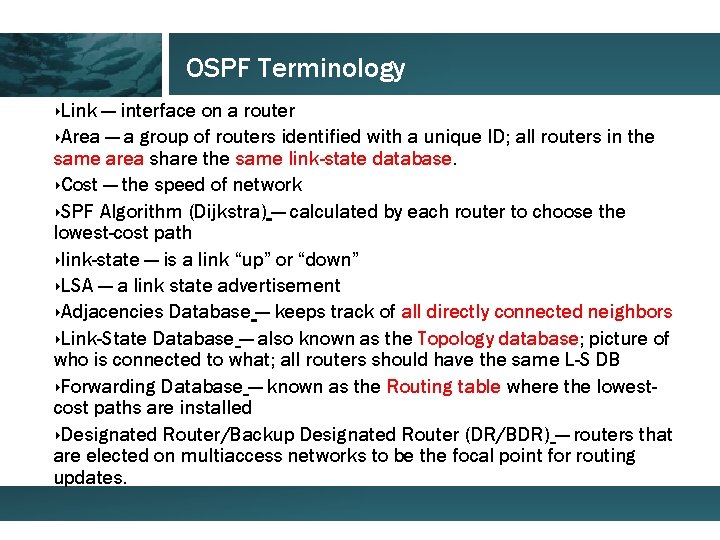 OSPF Terminology ‣Link — interface on a router ‣Area — a group of routers