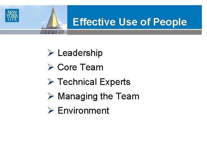 Effective Use of People Ø Leadership Ø Core Team Ø Technical Experts Ø Managing