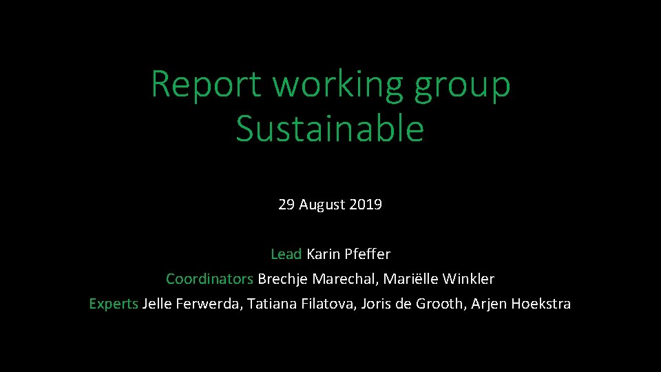 Report working group Sustainable 29 August 2019 Lead Karin Pfeffer Coordinators Brechje Marechal, Mariëlle