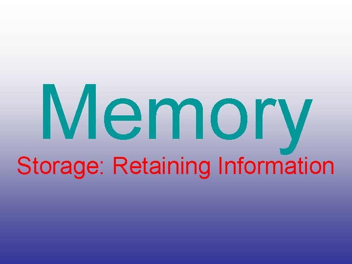 Memory Storage: Retaining Information 