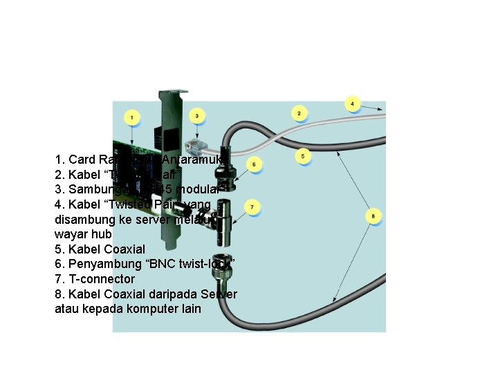 1. Card Rangkaian Antaramuka 2. Kabel “Twisted Pair” 3. Sambungan “RJ 45 modular” 4.