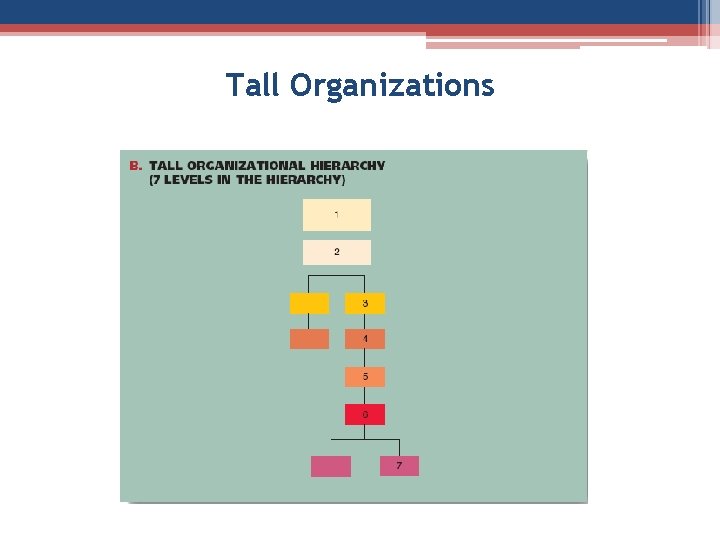 Tall Organizations 