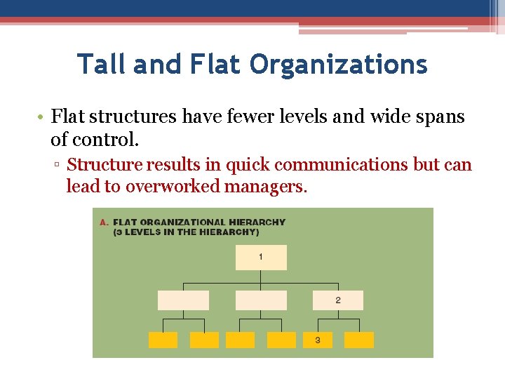 Tall and Flat Organizations • Flat structures have fewer levels and wide spans of