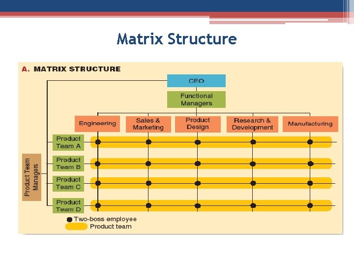 Matrix Structure 