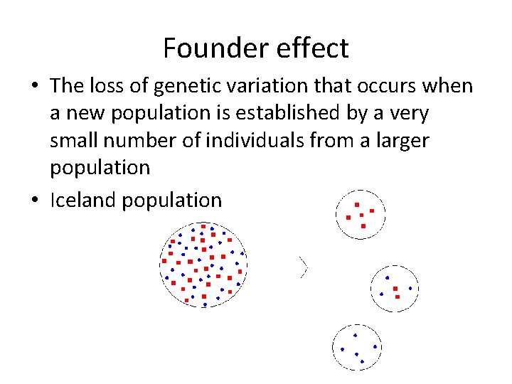 Founder effect • The loss of genetic variation that occurs when a new population