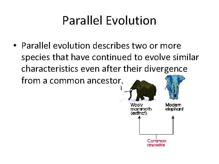 Parallel Evolution • Parallel evolution describes two or more species that have continued to
