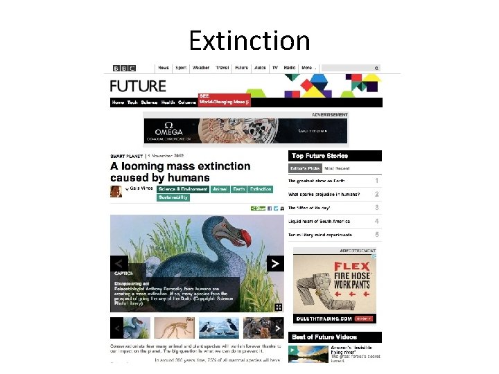 Extinction 