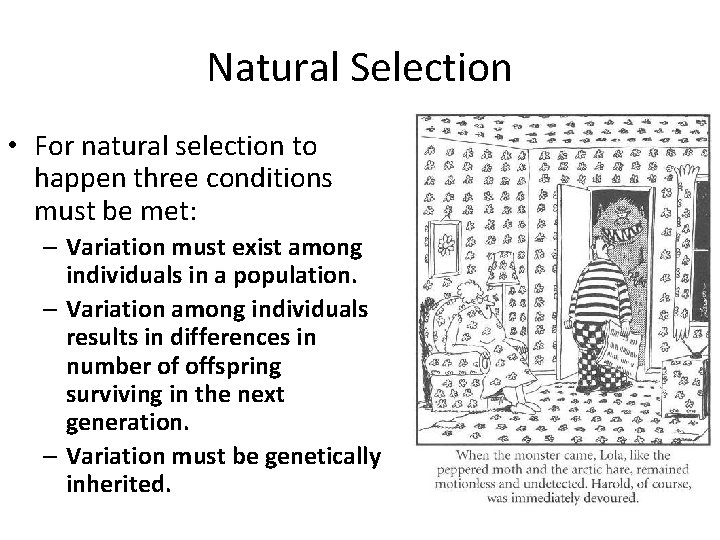 Natural Selection • For natural selection to happen three conditions must be met: –
