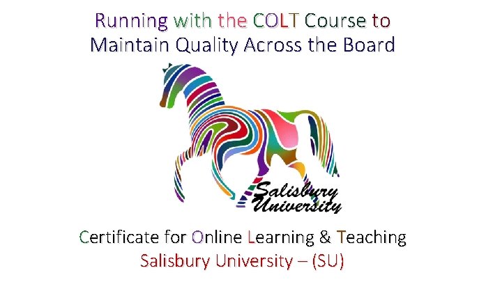 Running with the COLT Course to Maintain Quality Across the Board Certificate for Online