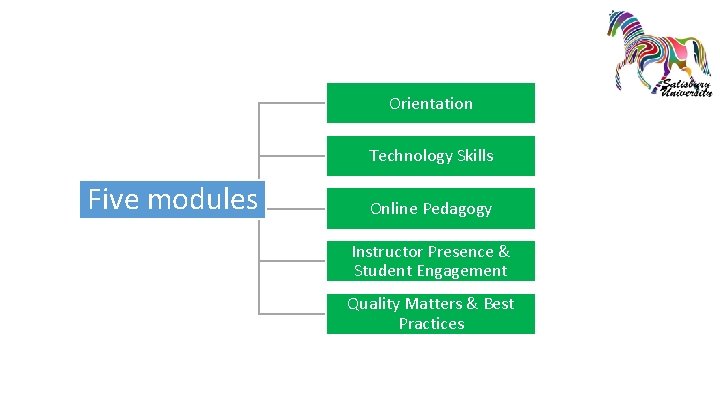 Included in the COLT course Orientation Technology Skills Five modules Online Pedagogy Instructor Presence